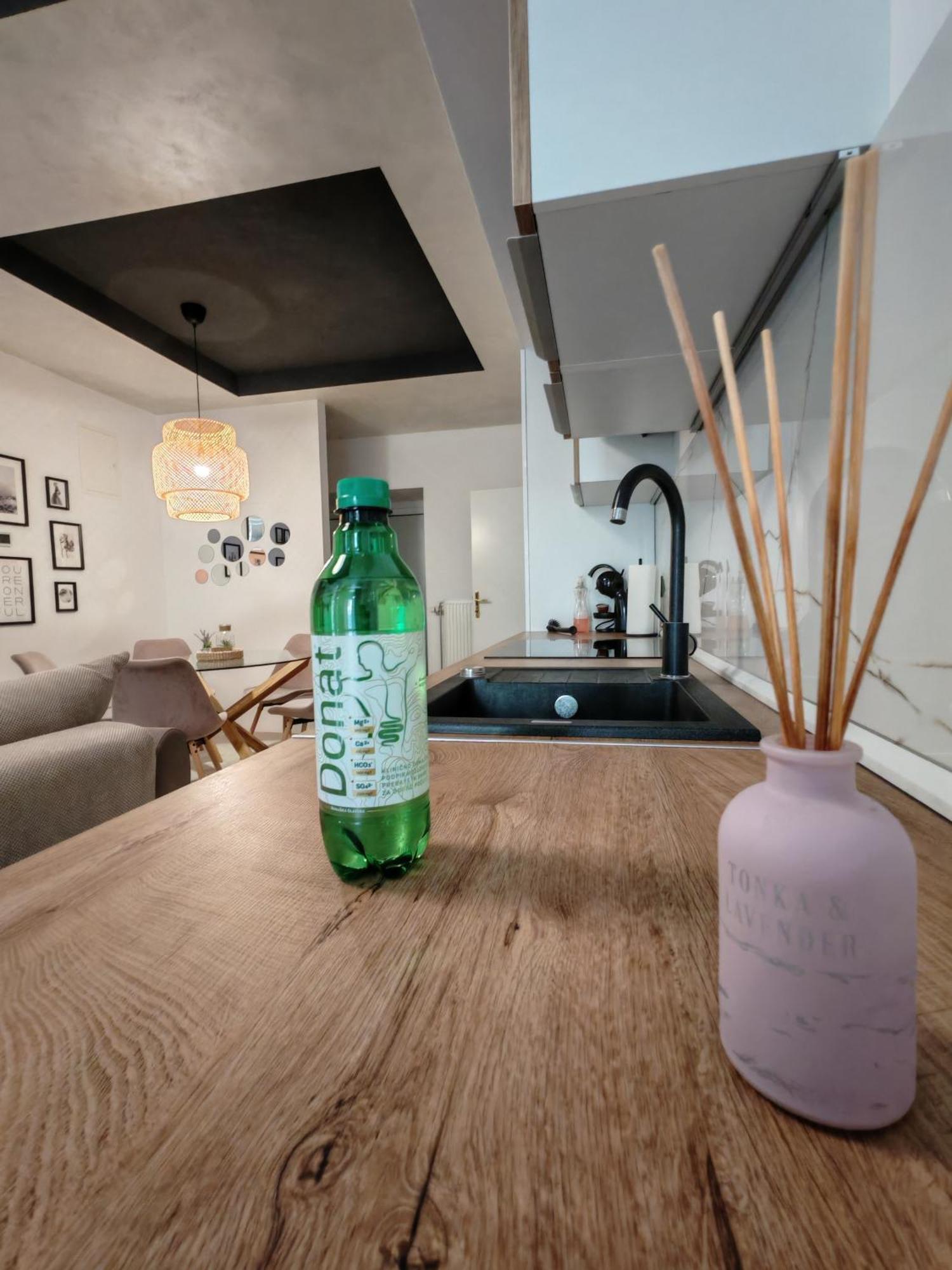 Apartment Center Rogaska - Pubyland *